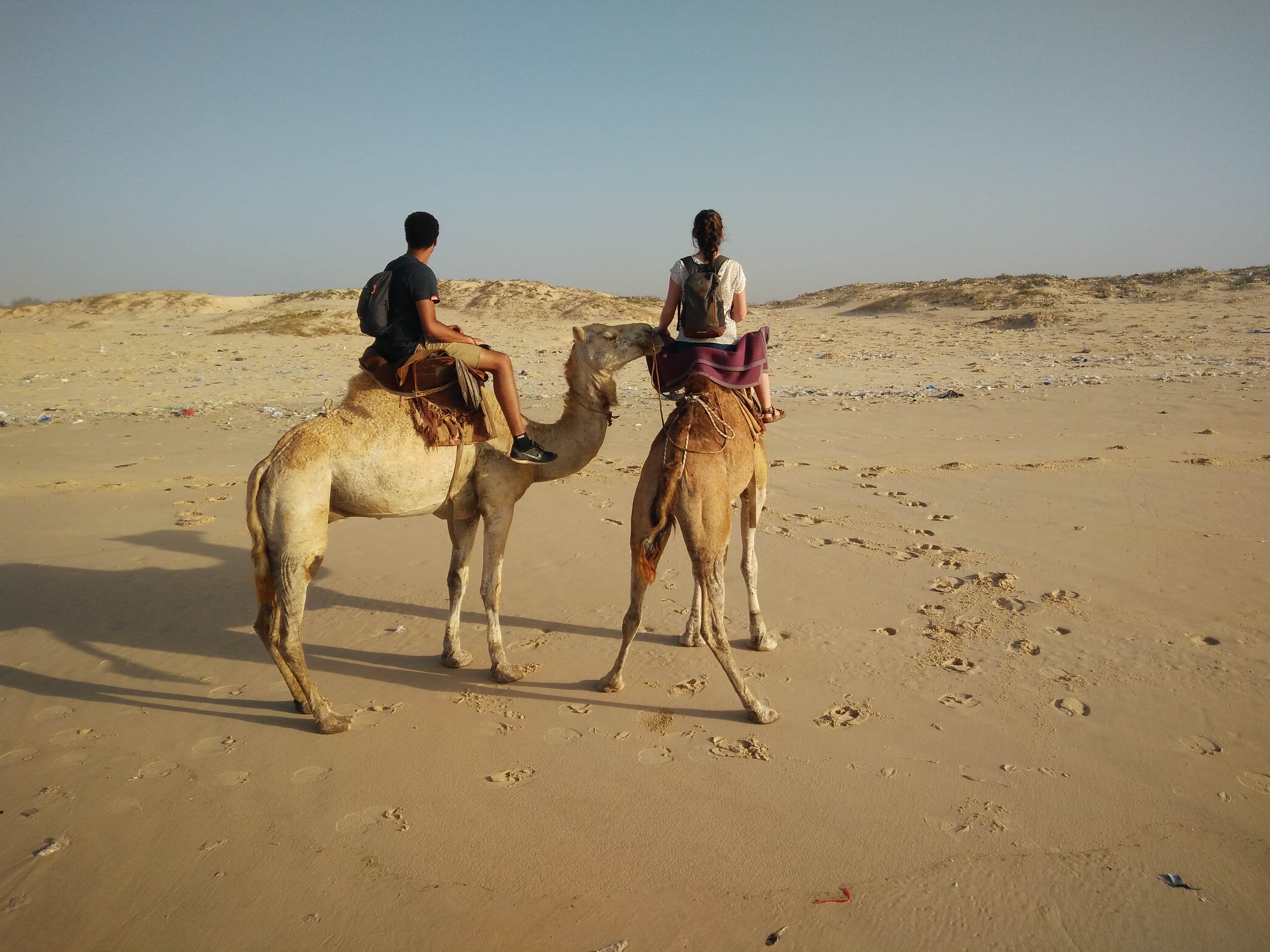 Camel ride at Lac Rose